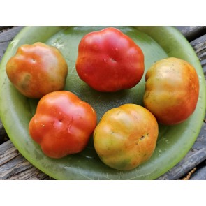 Tomato 'Super Marmande' Seeds (Certified Organic)
