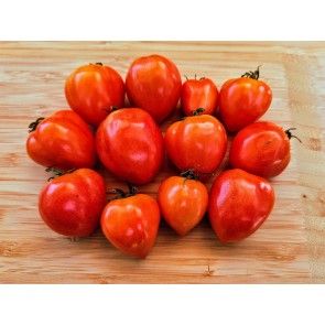 Dwarf Tomato 'Sweet Valentine' Seeds (Certified Organic)