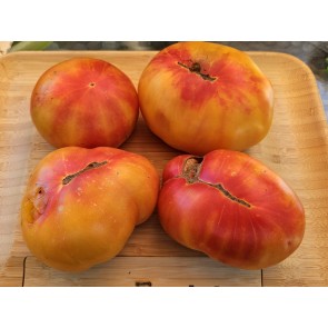 Tomato 'Eye of the Dingo' Seeds (Certified Organic)
