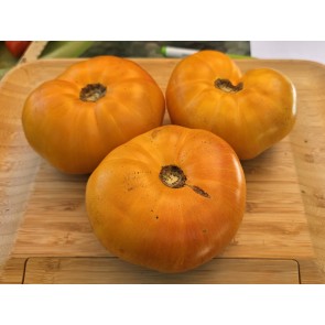 Tomato 'Plan 9 From Outer Space' Seeds (Certified Organic)