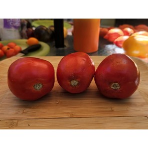 Tomato 'State Fair Beefy Pastes' Seeds (Certified Organic)
