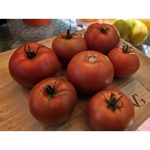 Tomato 'Roman Red' Seeds (Certified Organic)