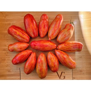 Tomato 'Bella' Seeds (Certified Organic)