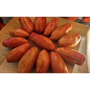 Tomato 'Yellow Tulip' Seeds (Certified Organic)