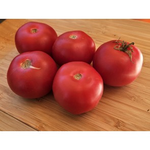 Tomato 'Bola Macizo' Seeds (Certified Organic)