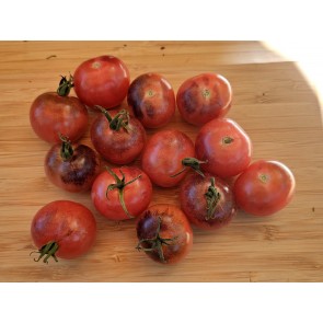 Tomato 'Dancing with Smurfs' Seeds (Certified Organic)