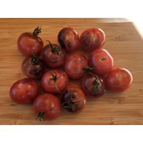 Tomato 'Dancing with Smurfs' Seeds (Certified Organic)