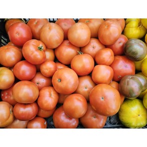 Tomato 'Big Beef F2' Seeds (Certified Organic)