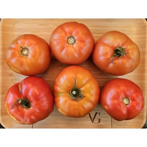 Tomato 'Big Beef' Seeds (Certified Organic)