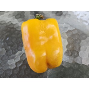 Sweet Pepper ‘Yellow Bell’ Seeds (Certified Organic)