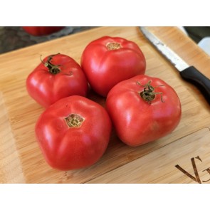 Tomato 'Early Detroit' Seeds (Certified Organic)
