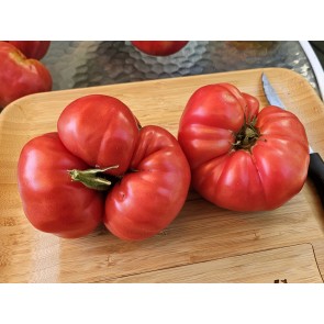 Dwarf Tomato 'Snakebite' Seeds (Certified Organic)