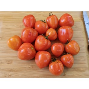 Dwarf Tomato 'Sweet Valentine' Seeds (Certified Organic)
