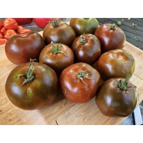 Tomato 'Crazy Horse' Seeds (Certified Organic)