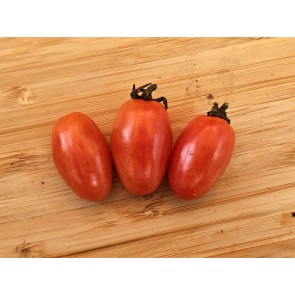 Tomato 'Mini Red Oval TR' Seeds (Certified Organic) 