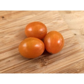 Tomato 'Mini Orange Oval TR' Seeds (Certified Organic)