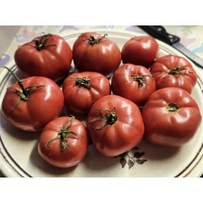 Tomato 'Early Detroit' Seeds (Certified Organic)