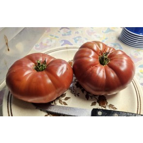 Tomato 'Sarah Schwartz' Seeds (Certified Organic)