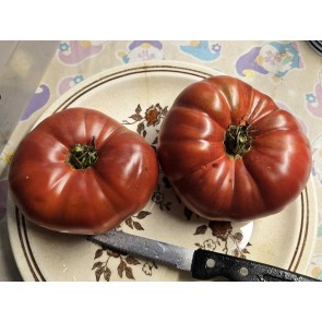 Tomato 'Sarah Schwartz' Seeds (Certified Organic)