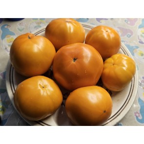Tomato 'Sunny Goliath Jubilee' Seeds (Certified Organic)