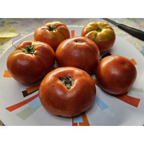 Tomato 'Marglobe Supreme' Seeds (Certified Organic)