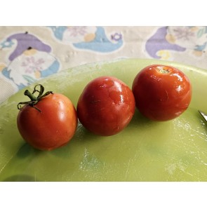Tomato 'Clifford Red Cherry' Seeds (Certified Organic)