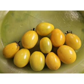 Tomato 'Chang Li' Seeds (Certified Organic)