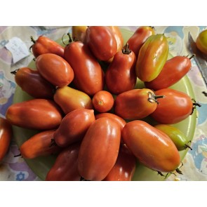 Tomato 'San Marzano Long 2' Seeds (Certified Organic)