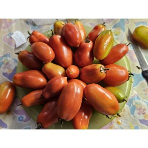 Tomato 'San Marzano Long 2' Seeds (Certified Organic)