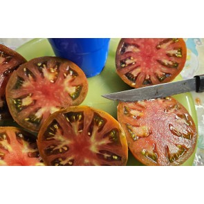 Tomato 'Everett's Rusty Brown' Seeds (Certified Organic)