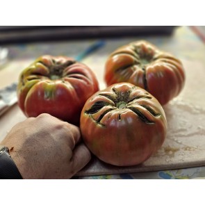 Tomato 'Flathead Monster Pink' Seeds (Certified Organic)