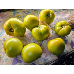 Tomato 'Winter Heart' Seeds (Certified Organic)