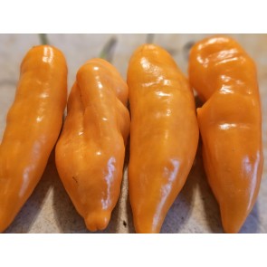 Hot Pepper 'Lemon Drop Orange' Seeds (Certified Organic) 