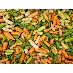 Hot Pepper 'Lemon Drop Orange' Seeds (Certified Organic)