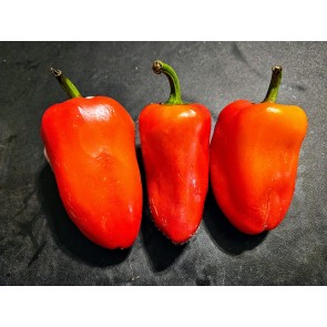 Sweet Pepper 'Ukrainian Early' Seeds (Certified Organic) 