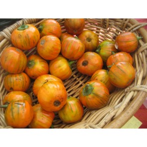 Eggplant ‘Turkish Orange’ Seeds (Certified Organic)