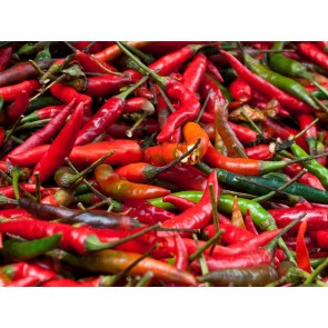 Hot Pepper ‘Red Thai’ Seeds (Certified Organic)