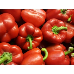 Sweet Pepper ‘Red Bell’ Seeds (Certified Organic)