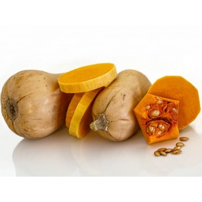 Butternut Squash 'Honeynut' Seeds (Certified Organic)