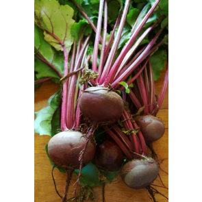 Beet 'Detroit Dark Red' Seeds (Certified Organic)