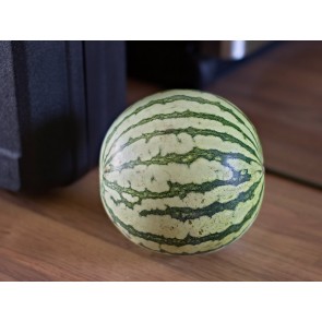 Watermelon 'Early Moonbeam' Seeds (Certified Organic)