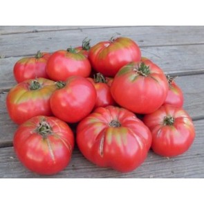 Tomato 'Caspian Pink' Plant (4" Pot, single)