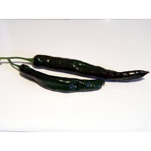 Hot Pepper ‘Pasilla Bajio’ AKA 'Chilaca' Seeds (Certified Organic)