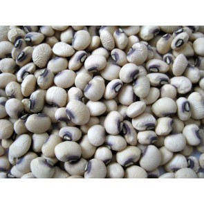 Cowpea 'Pinkeye Purple Hull'