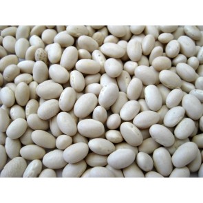 Snap Bean 'White Half Runner' 