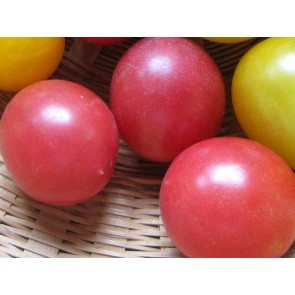 Tomato 'Garden Pearl' Seeds (Certified Organic)