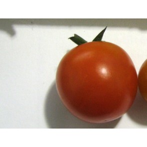 Tomato 'Sweet Raisin' Seeds (Certified Organic)