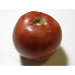 Tomato 'Pink Lady' Seeds (Certified Organic)