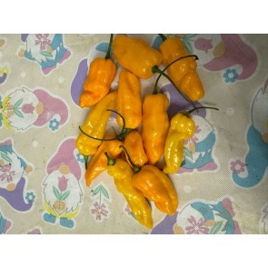 Hot Pepper 'Golden Slimer' (Long Variant) Seeds (Certified Organic)