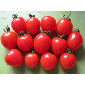 Tomato 'Tomatoberry F2'